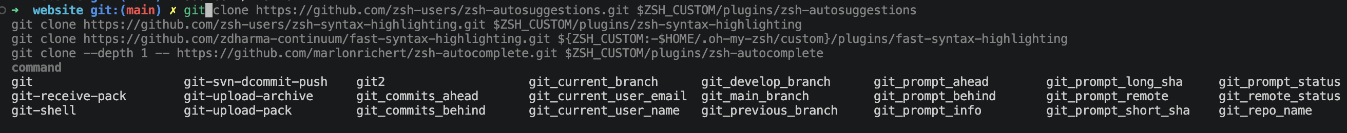 OhMyZsh suggestions